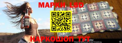 дмт Кингисепп