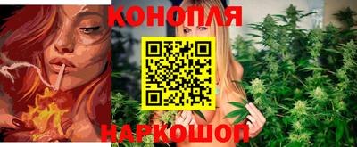 дмт Кингисепп
