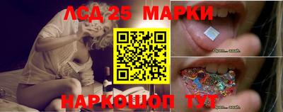 дмт Кингисепп