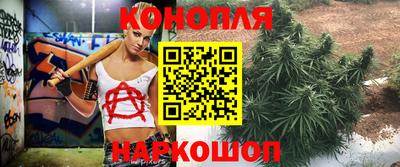 дмт Кингисепп