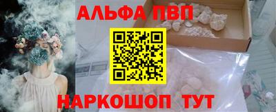 дмт Кингисепп