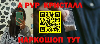 дмт Кингисепп