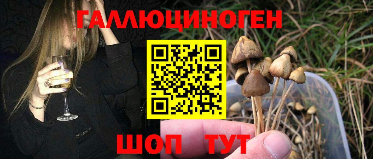 Псилоцибиновые грибы MAGIC MUSHROOMS Уварово