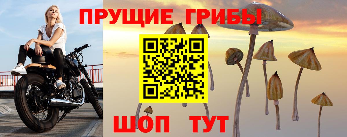 Галлюциногенные грибы Cubensis  Вход с VPN  Уварово  Галлюциногенные грибы Magic Shrooms 